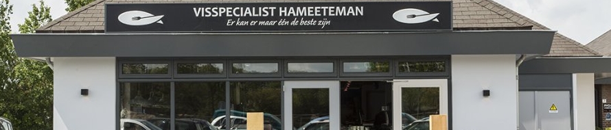 Visspecialist Hameeteman